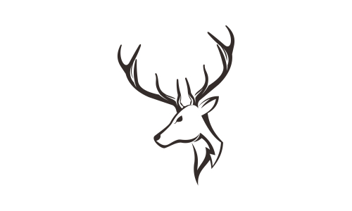 Deer head creative design logo vector. Deer illustration