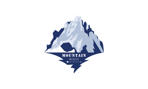 Wild adventure mountain logo design vector illustration