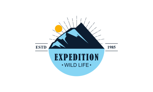Wild adventure mountain logo design vector illustration