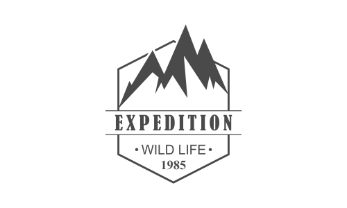 Wild adventure mountain logo design vector illustration