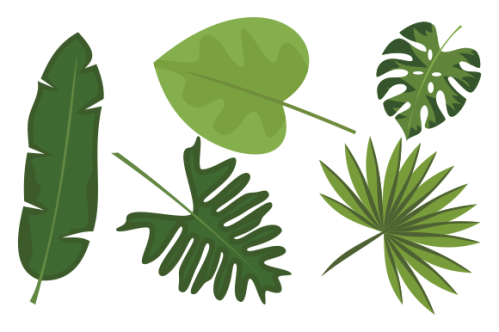 Collection of tropical leaves. Summer logo