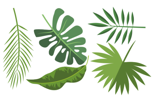 Collection of tropical leaves. Summer logo