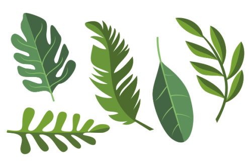 Collection of tropical leaves. Summer logo