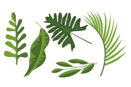 Collection of tropical leaves. Summer logo