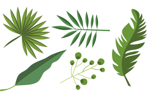 Collection of tropical leaves. Summer logo