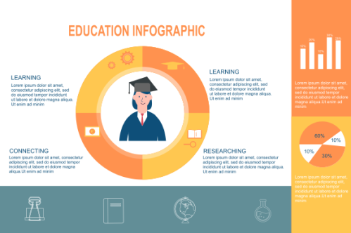Education infographic template vector. Education university infographic