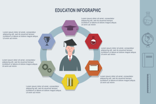 Education infographic template vector. Education university infographic
