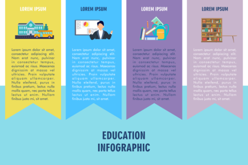 Education infographic template vector. Education university infographic
