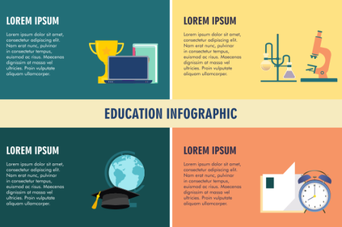 Education infographic template vector. Education university infographic
