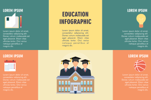 Education infographic template vector. Education university infographic