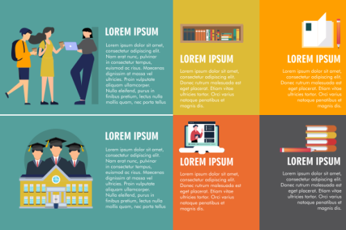 Education infographic template vector. Education university infographic