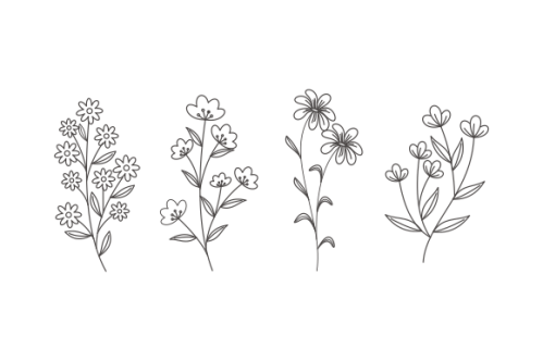 Hand drawn flower collection vector