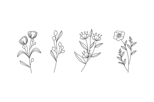 Hand drawn flower collection vector