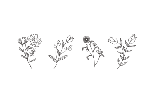 Hand drawn flower collection vector