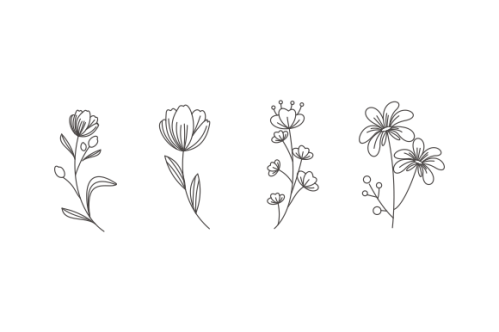 Hand drawn flower collection vector