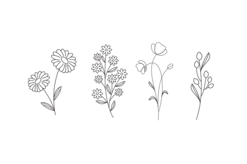 Hand drawn flower collection vector