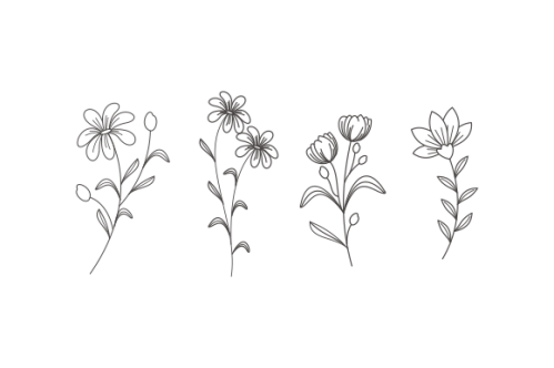 Hand drawn flower collection vector