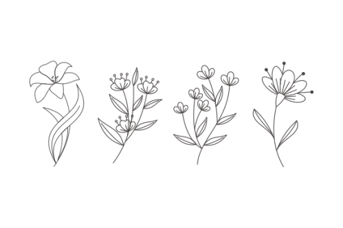 Hand drawn flower collection vector