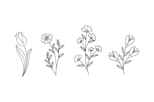 Hand drawn flower collection vector
