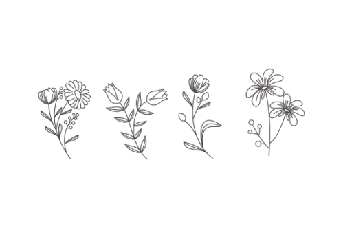 Hand drawn flower collection vector
