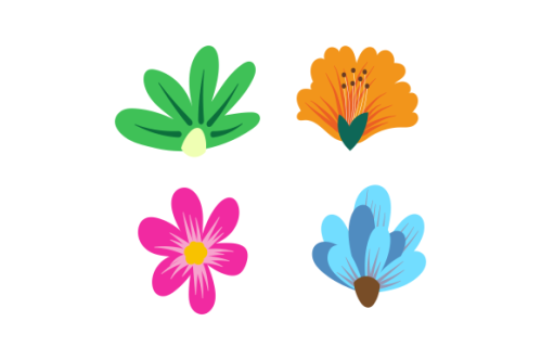 Hand drawn flower collection vector