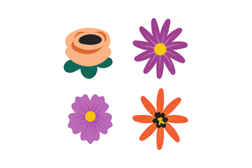 Hand drawn flower collection vector