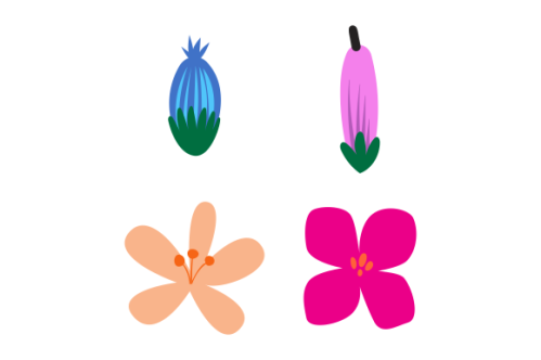 Hand drawn flower collection vector