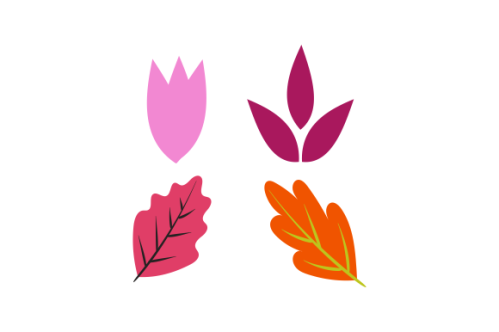 Hand drawn flower collection vector