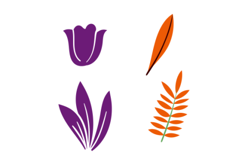 Hand drawn flower collection vector