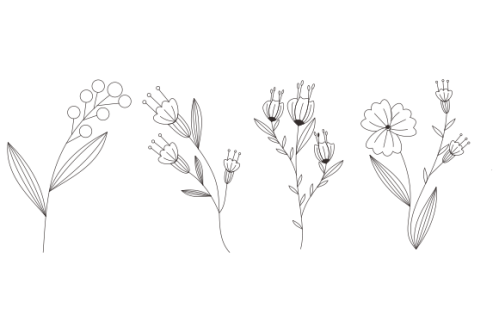 Hand drawn flower collection vector