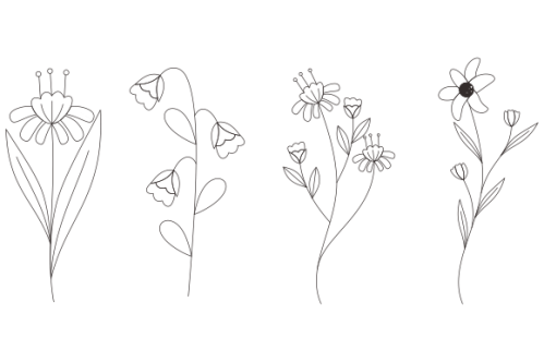 Hand drawn flower collection vector
