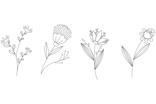 Hand drawn flower collection vector