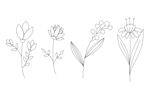 Hand drawn flower collection vector