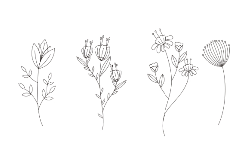 Hand drawn flower collection vector