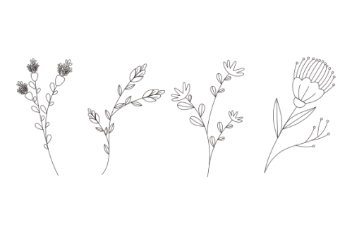Hand drawn flower collection vector