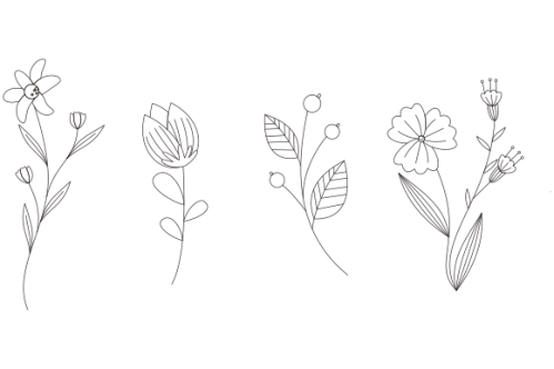Hand drawn flower collection vector